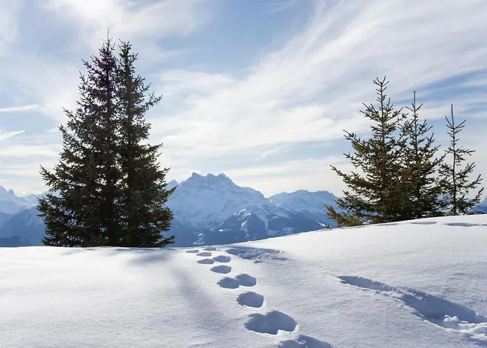 Opale 24 By Interhome Villars-sur-Ollon