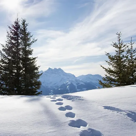 Opale 24 By Interhome Villars-sur-Ollon