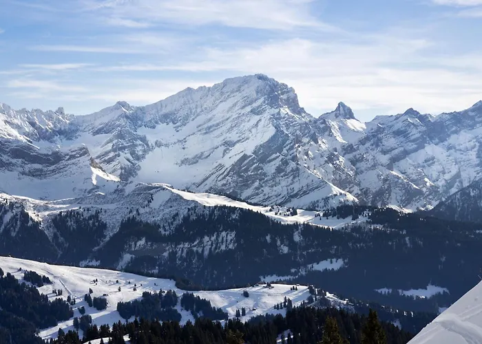 Opale 24 By Interhome * Villars-sur-Ollon